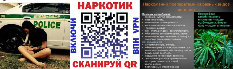 Виды наркотиков купить Сланцы Кокаин  Псилоцибиновые грибы  блэк спрут как зайти  Гашиш  Бошки Шишки  МЕФ 