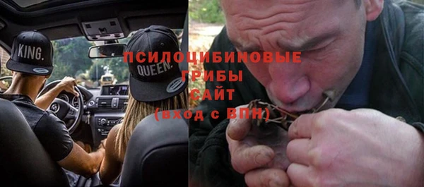 ПСИЛОЦИБИНОВЫЕ ГРИБЫ Арсеньев
