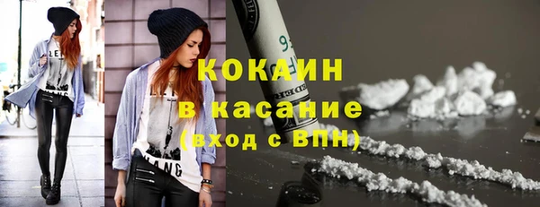 твердый Аркадак