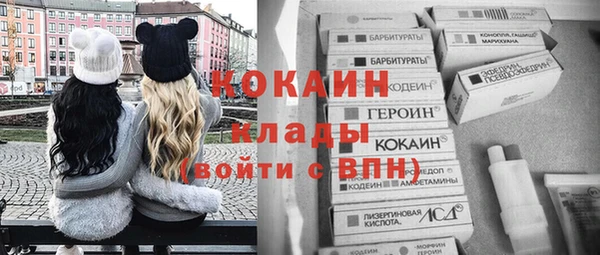 твердый Аркадак