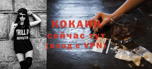 твердый Аркадак