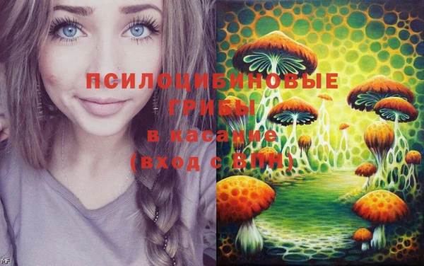 твердый Аркадак