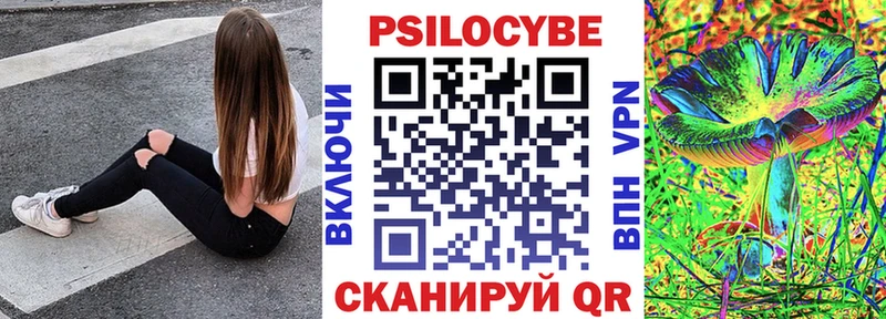 Псилоцибиновые грибы Cubensis Сланцы